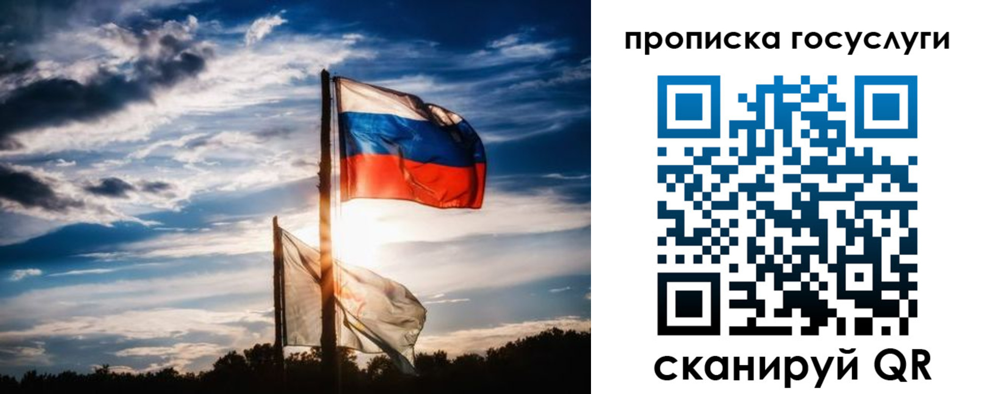 прописка законно в Белгороде